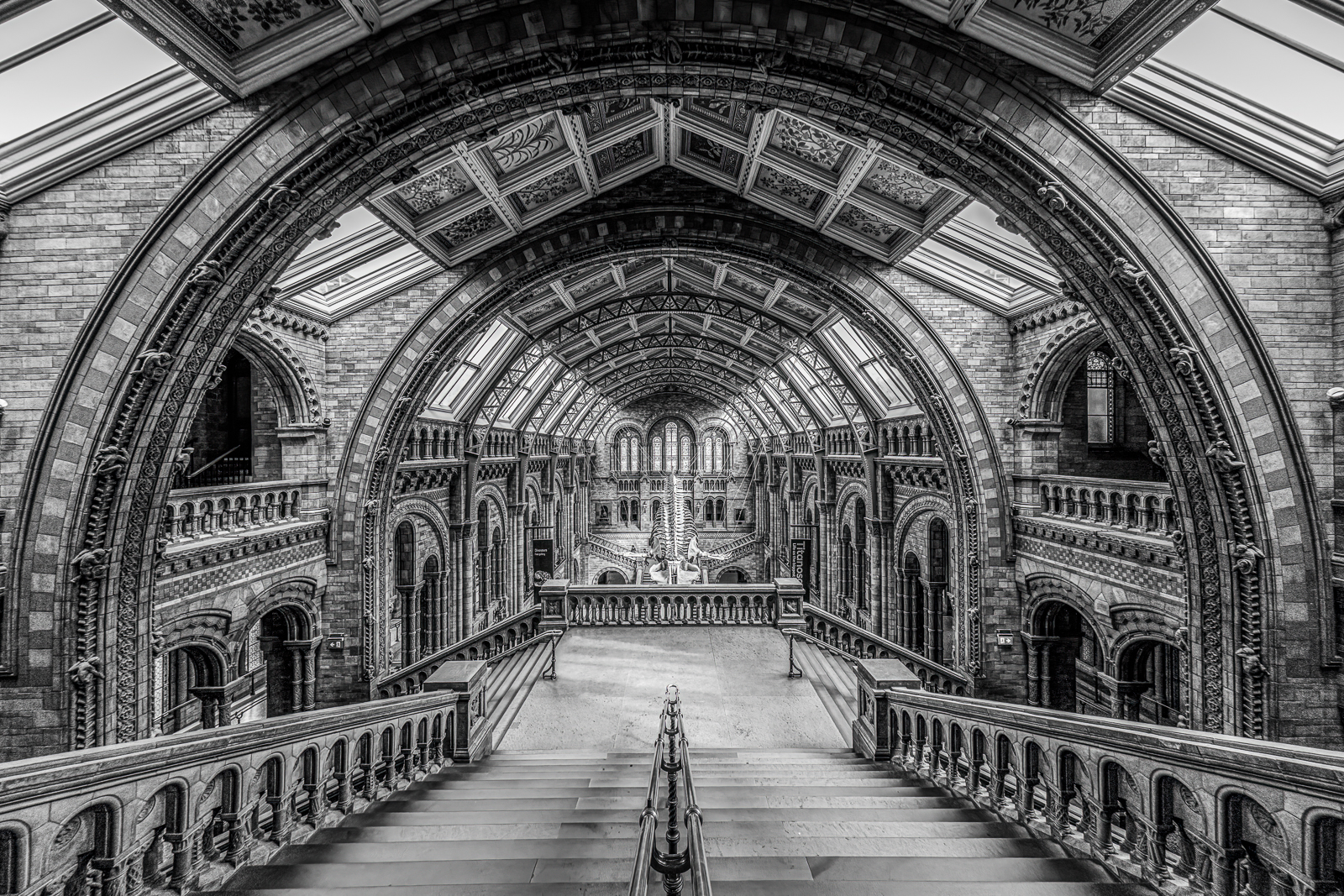 Natural History Museum
